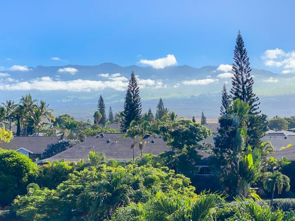 Wailea Condo 978012