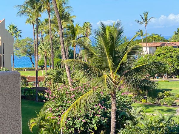 Wailea Condo 978012