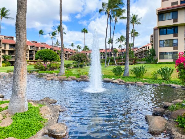 Wailea Condo 978012