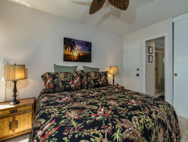 Wailea Condo 978013