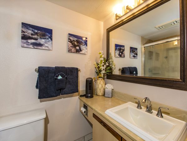 Wailea Condo 978013