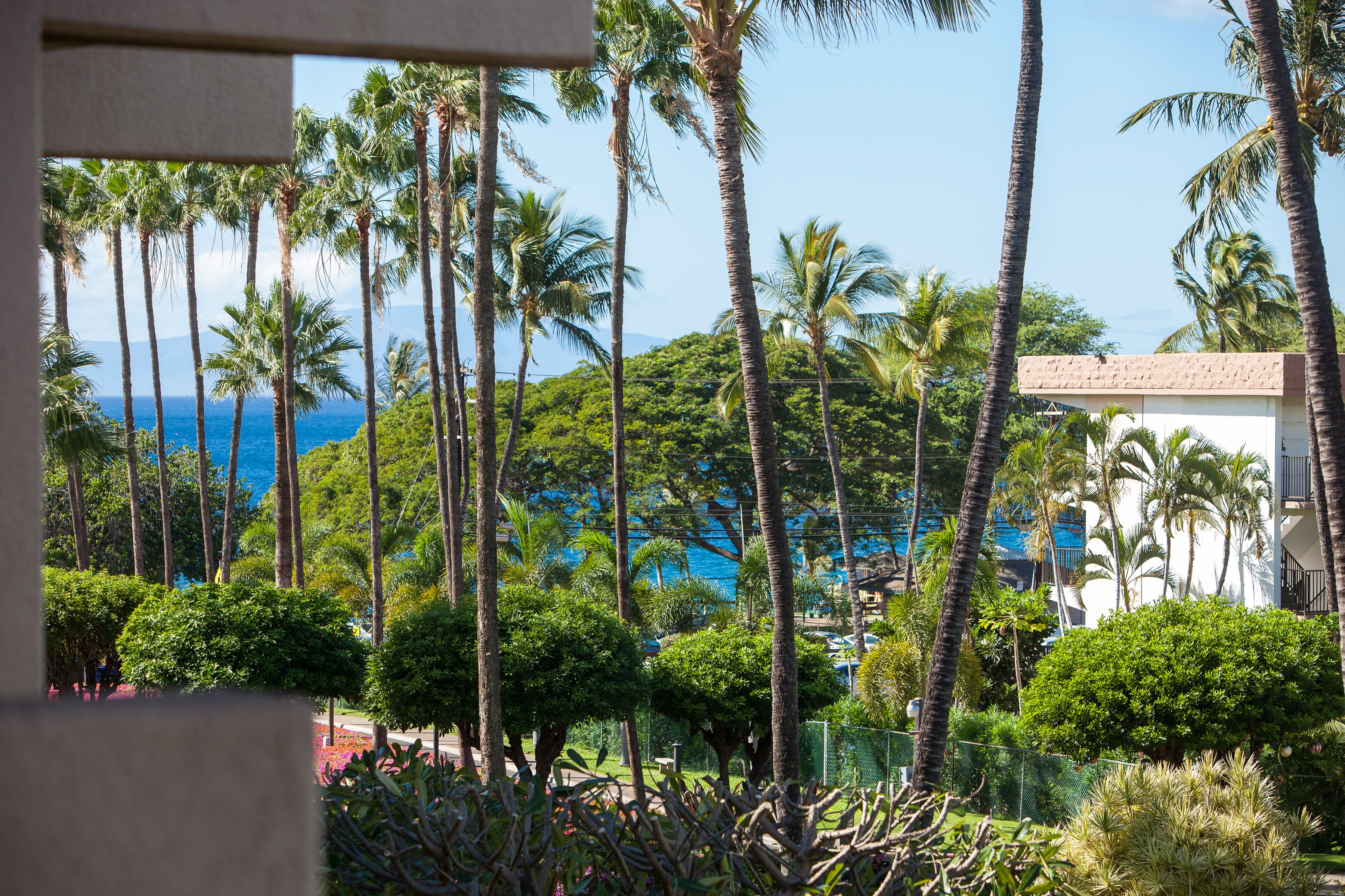 Wailea Condo 978013