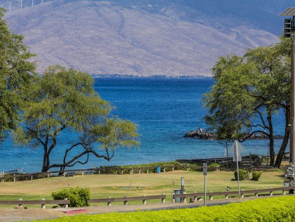 Wailea Condo 978014