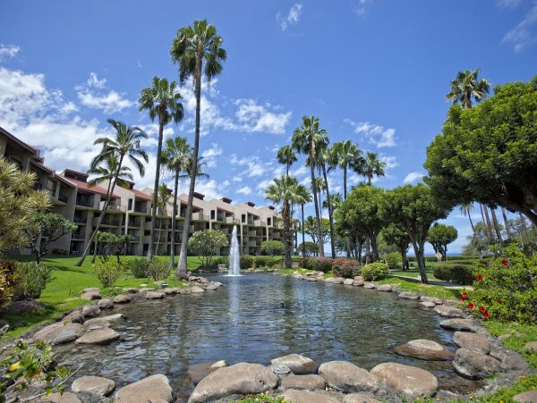 Wailea Condo 978014