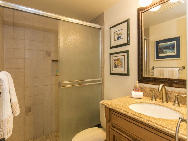 Wailea Condo 978015