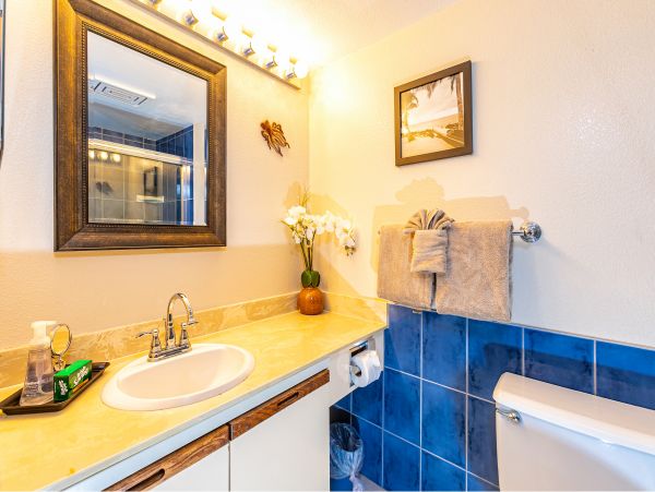 Wailea Condo 978018