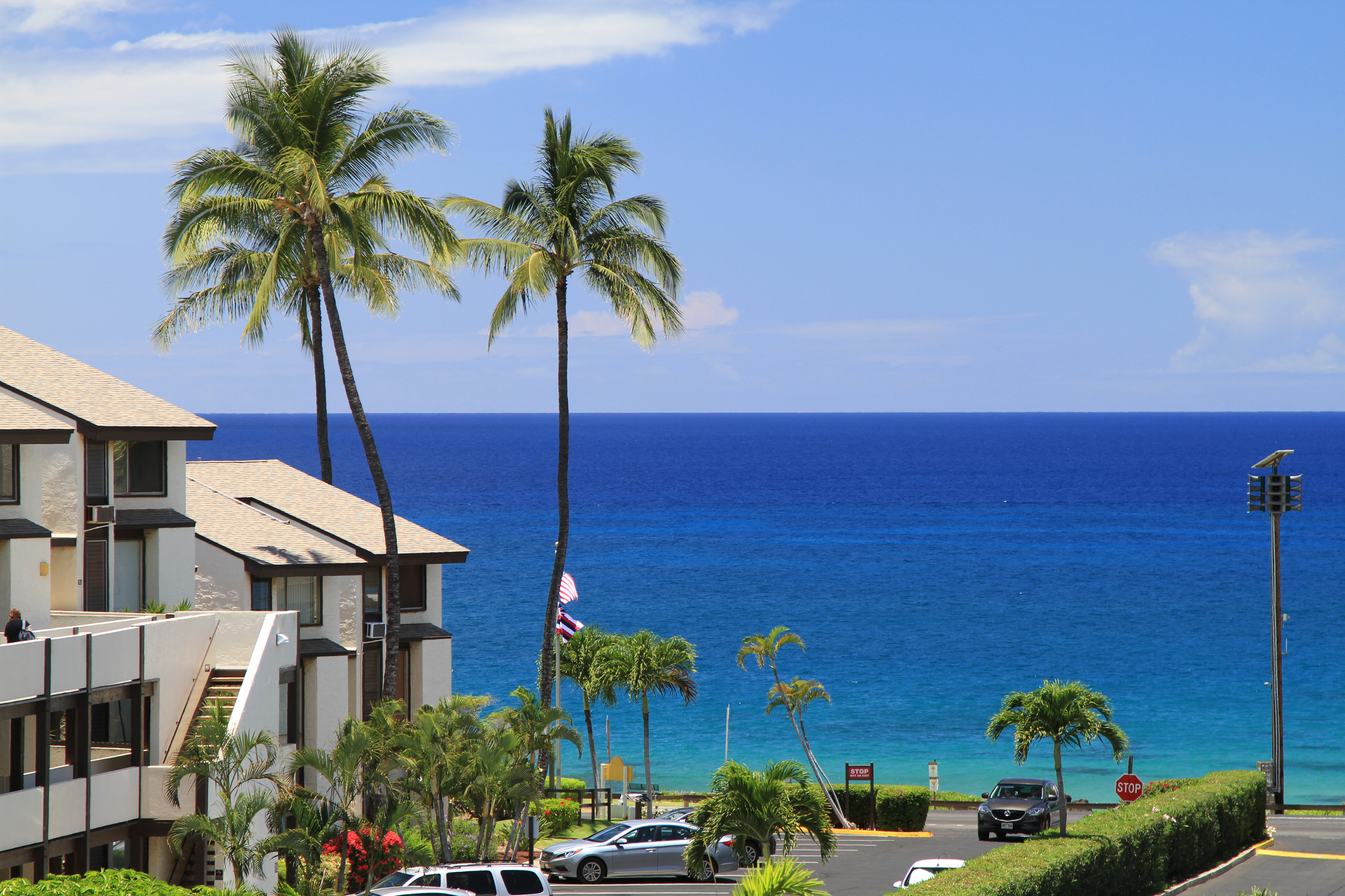 Wailea Condo 978018