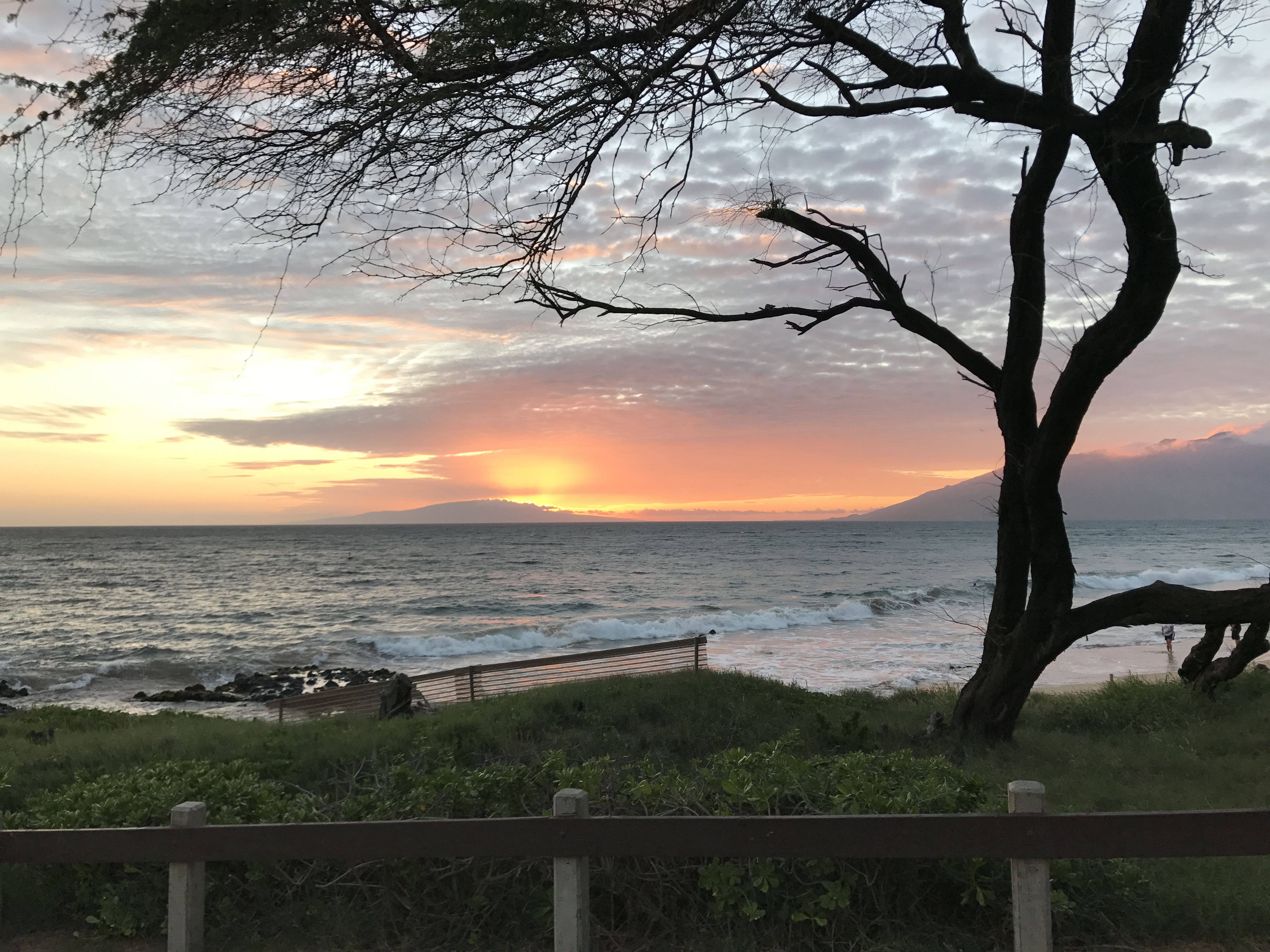 Wailea Condo 978018