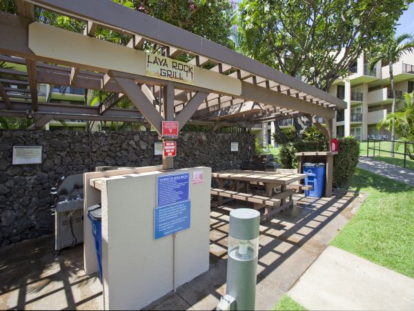 Wailea Condo 978018