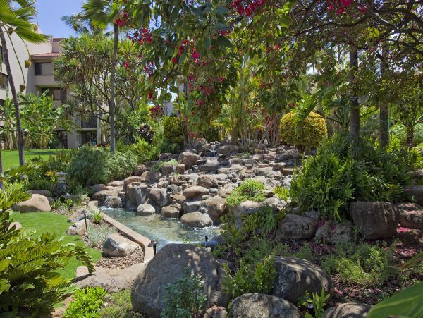 Wailea Condo 978018