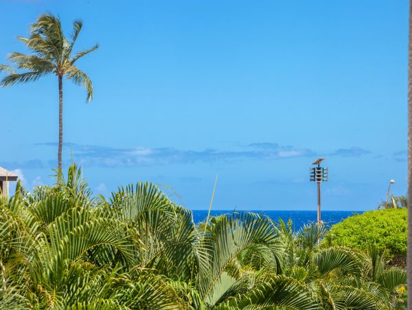 Wailea Condo 978019
