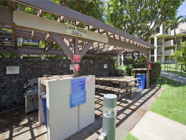 Wailea Condo 978019