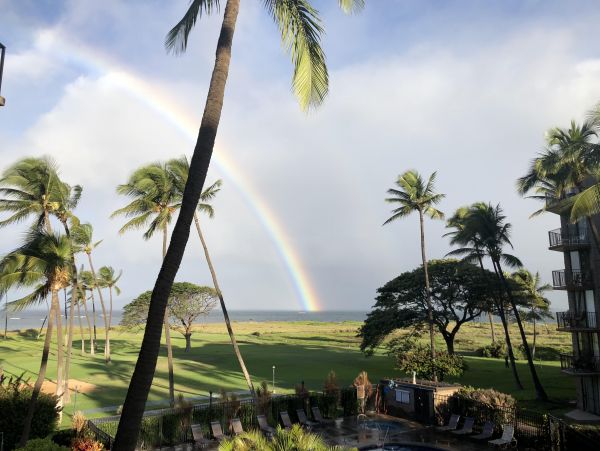 Kihei Condo 978020
