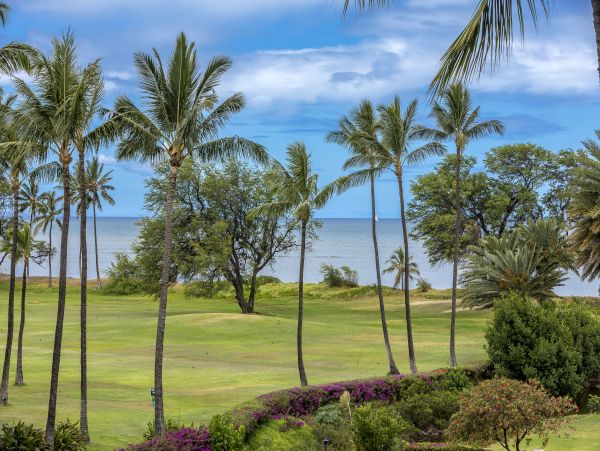 Kihei Condo 978020