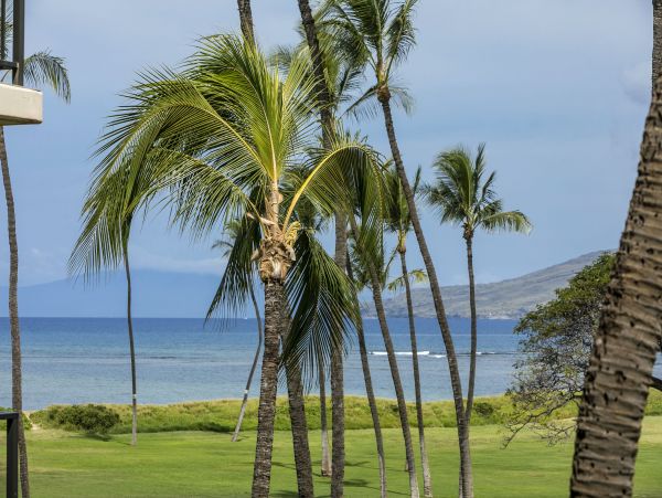 Kihei Condo 978020