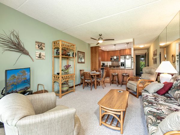Wailea Condo 978021