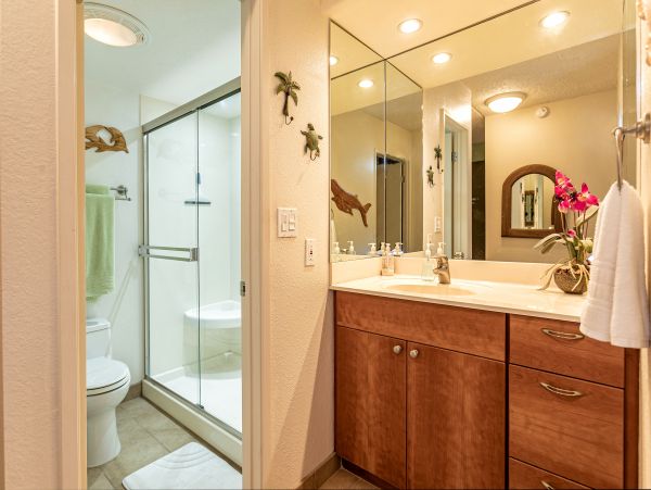 Wailea Condo 978021