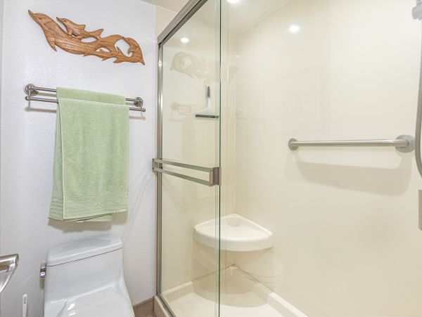 Wailea Condo 978021