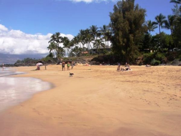 Wailea Condo 978022
