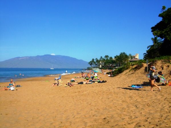 Wailea Condo 978022