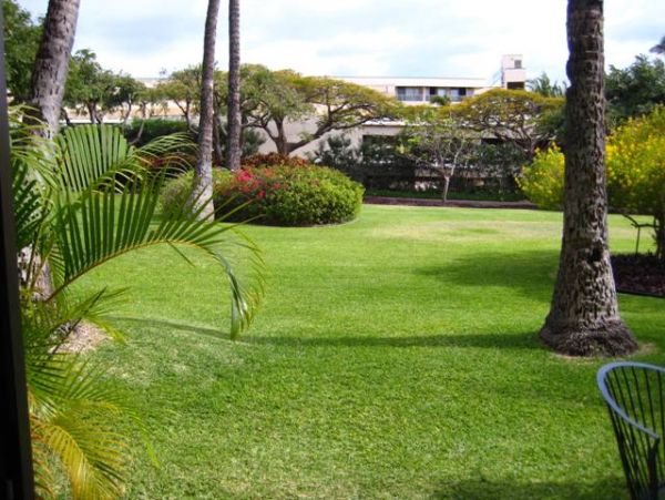 Wailea Condo 978022