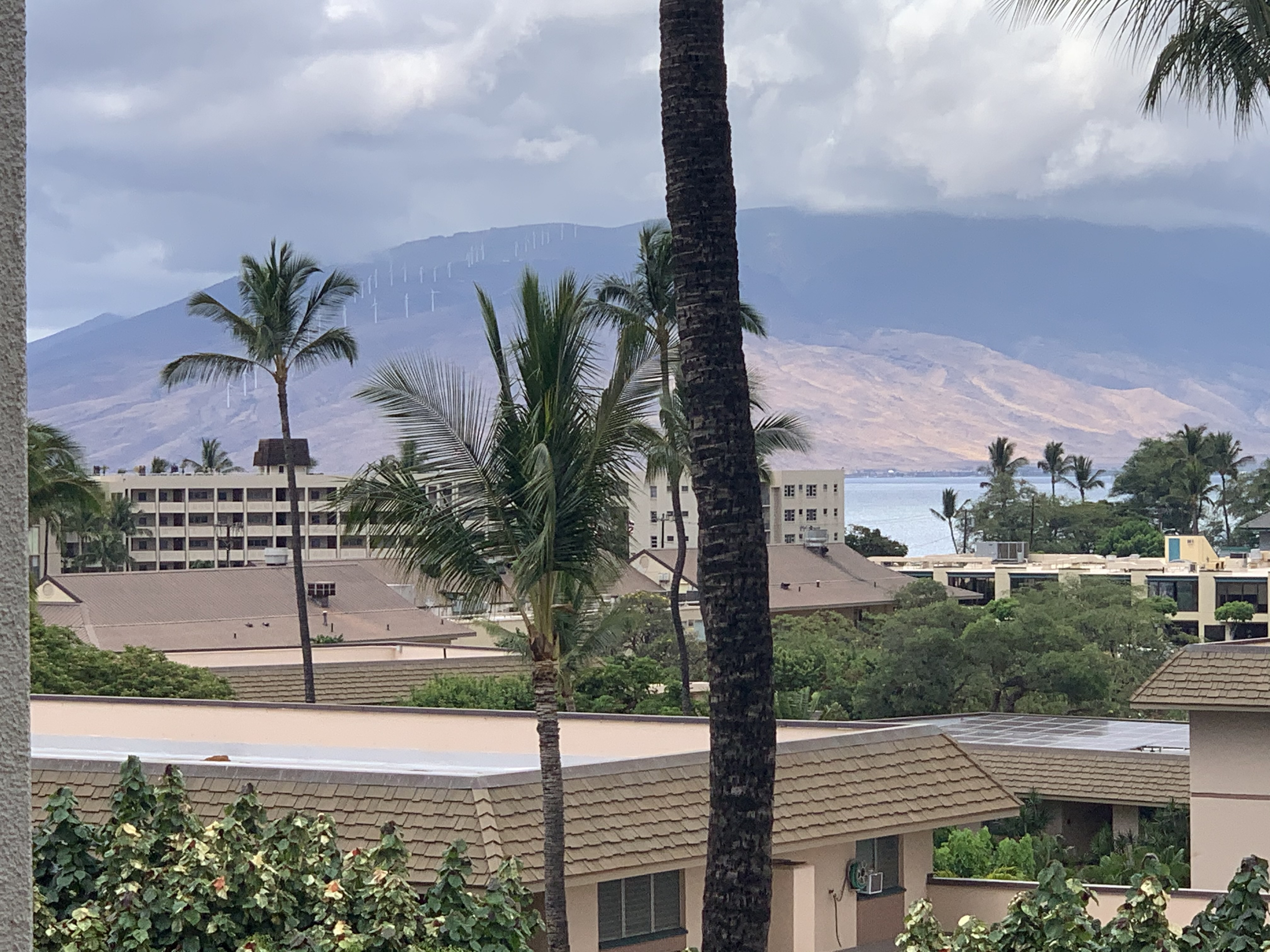 Wailea Condo 978023