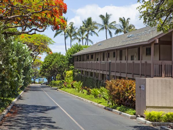 Wailea Condo 978023