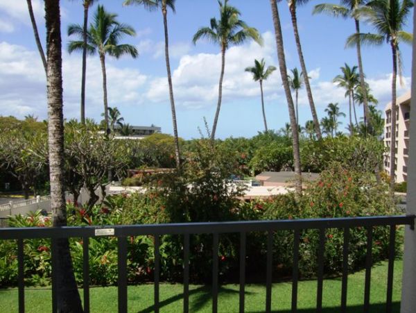 Wailea Condo 978024