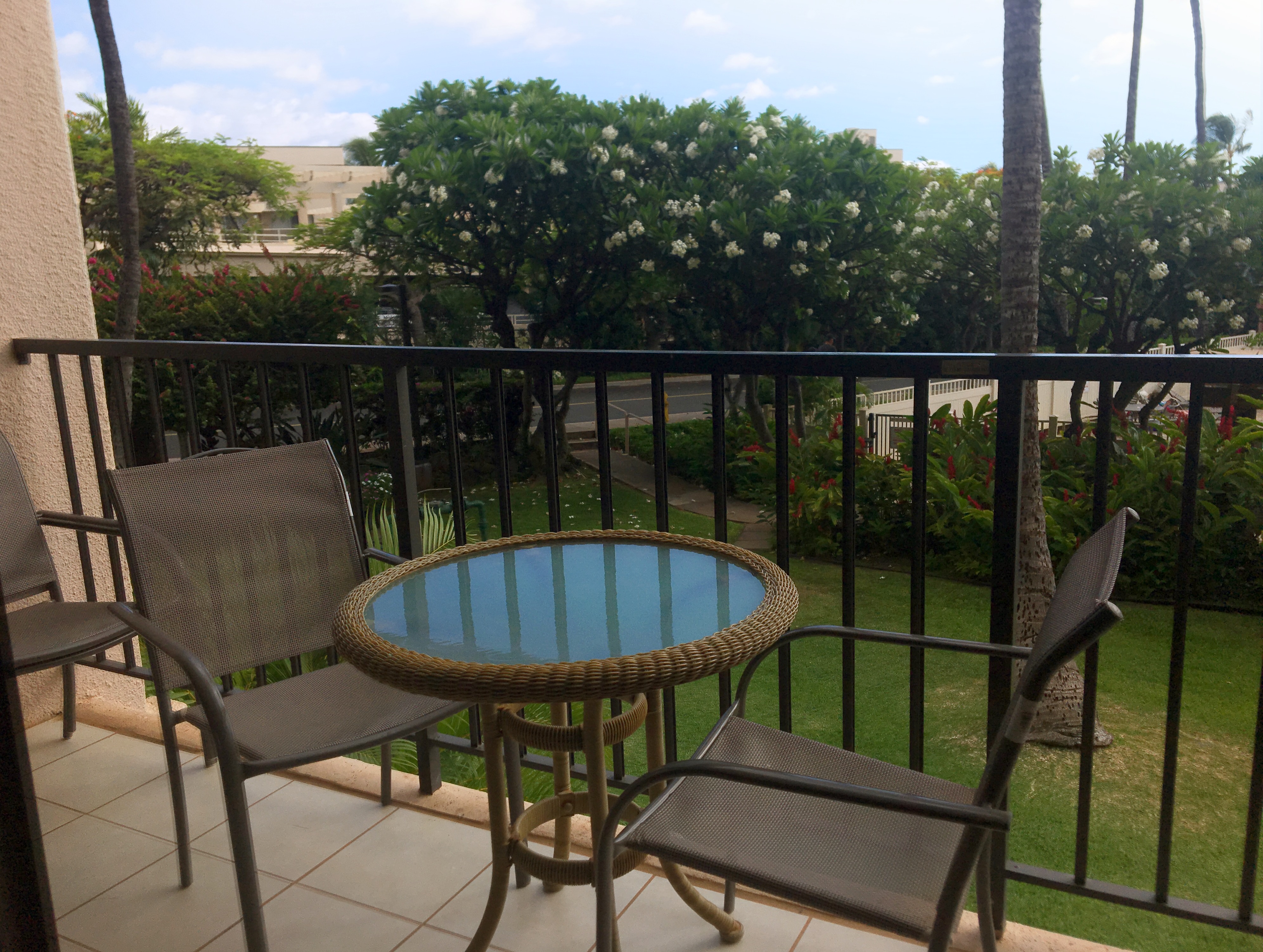 Wailea Condo 978024