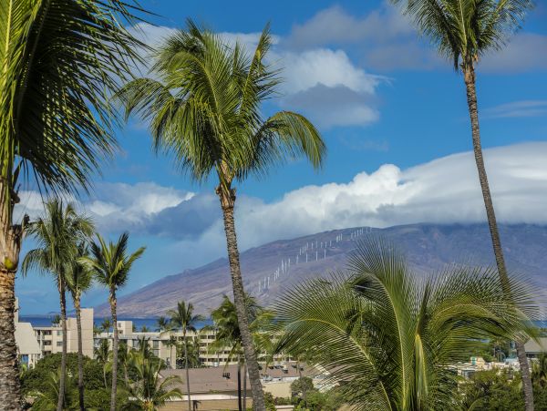 Wailea Condo 978025
