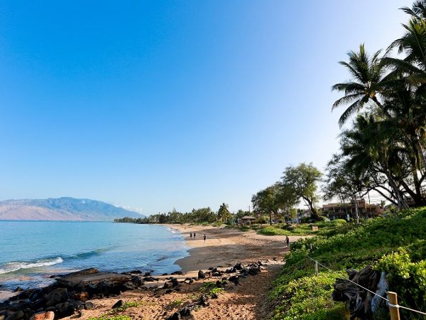 Kihei Condo 978026