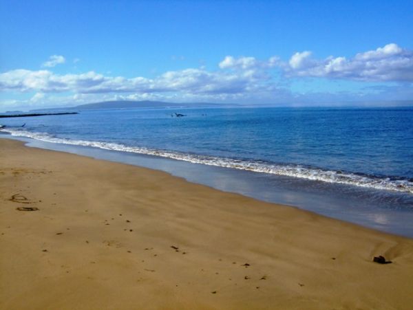 Kihei Condo 978038