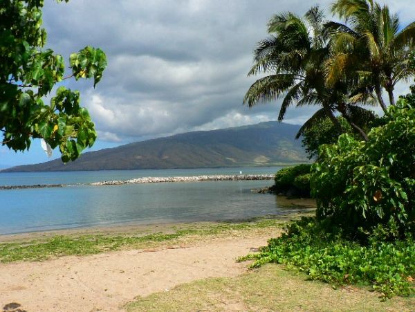 Kihei Condo 978039