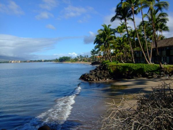 Kihei Condo 978039