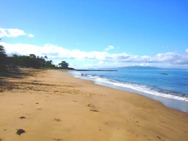Kihei Condo 978040