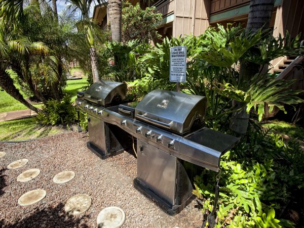 Kihei Condo 978043