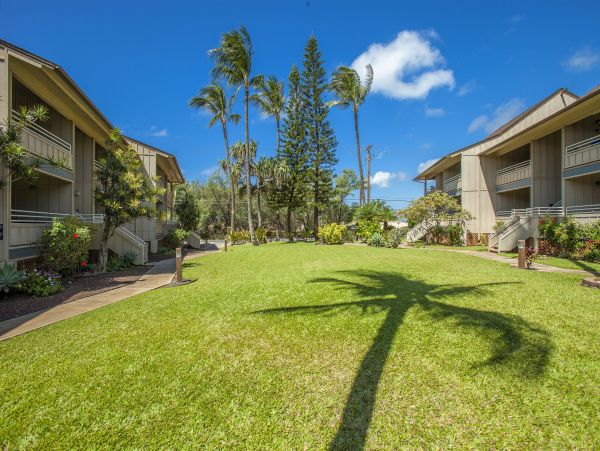 Kihei Condo 978043