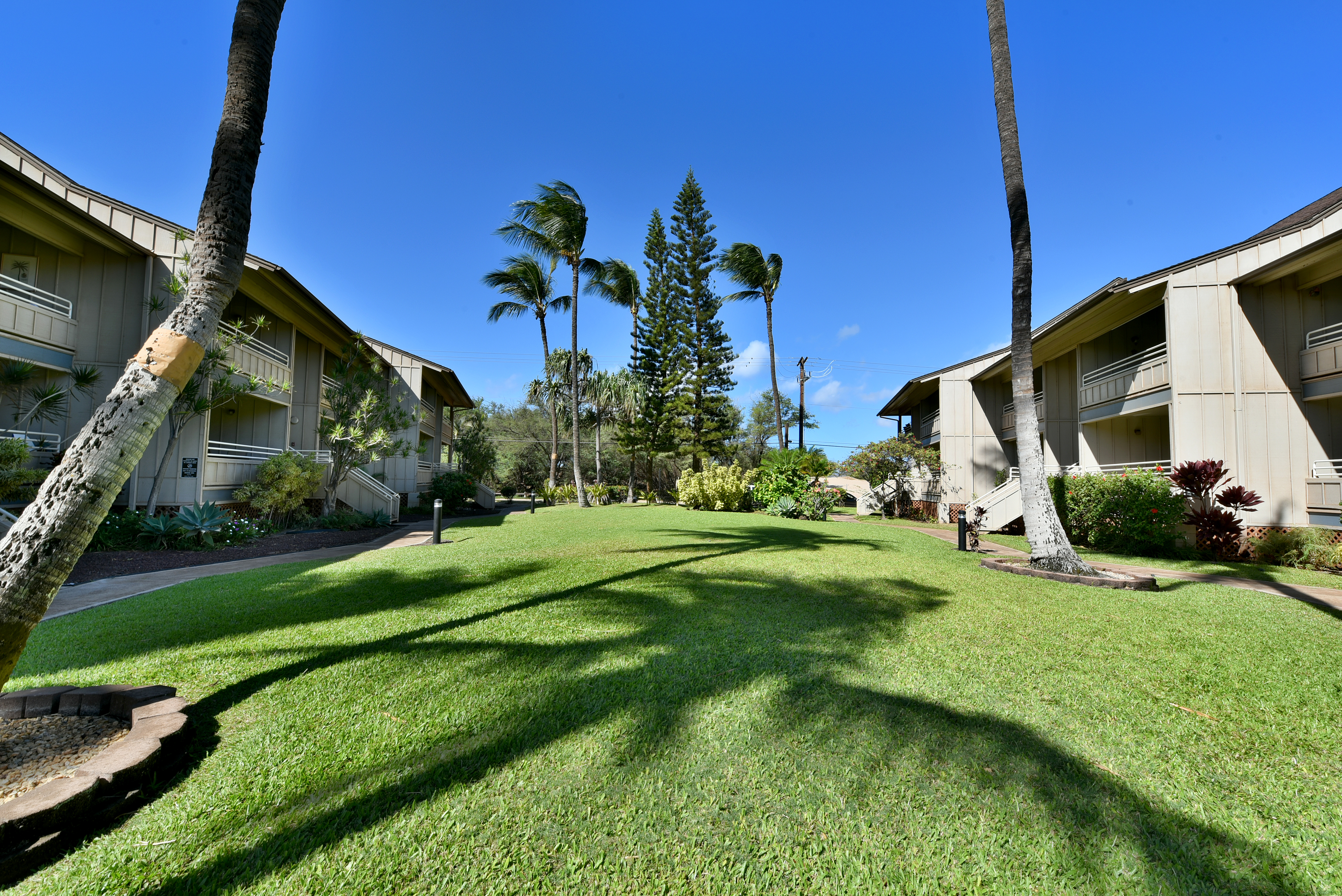Kihei Condo 978045