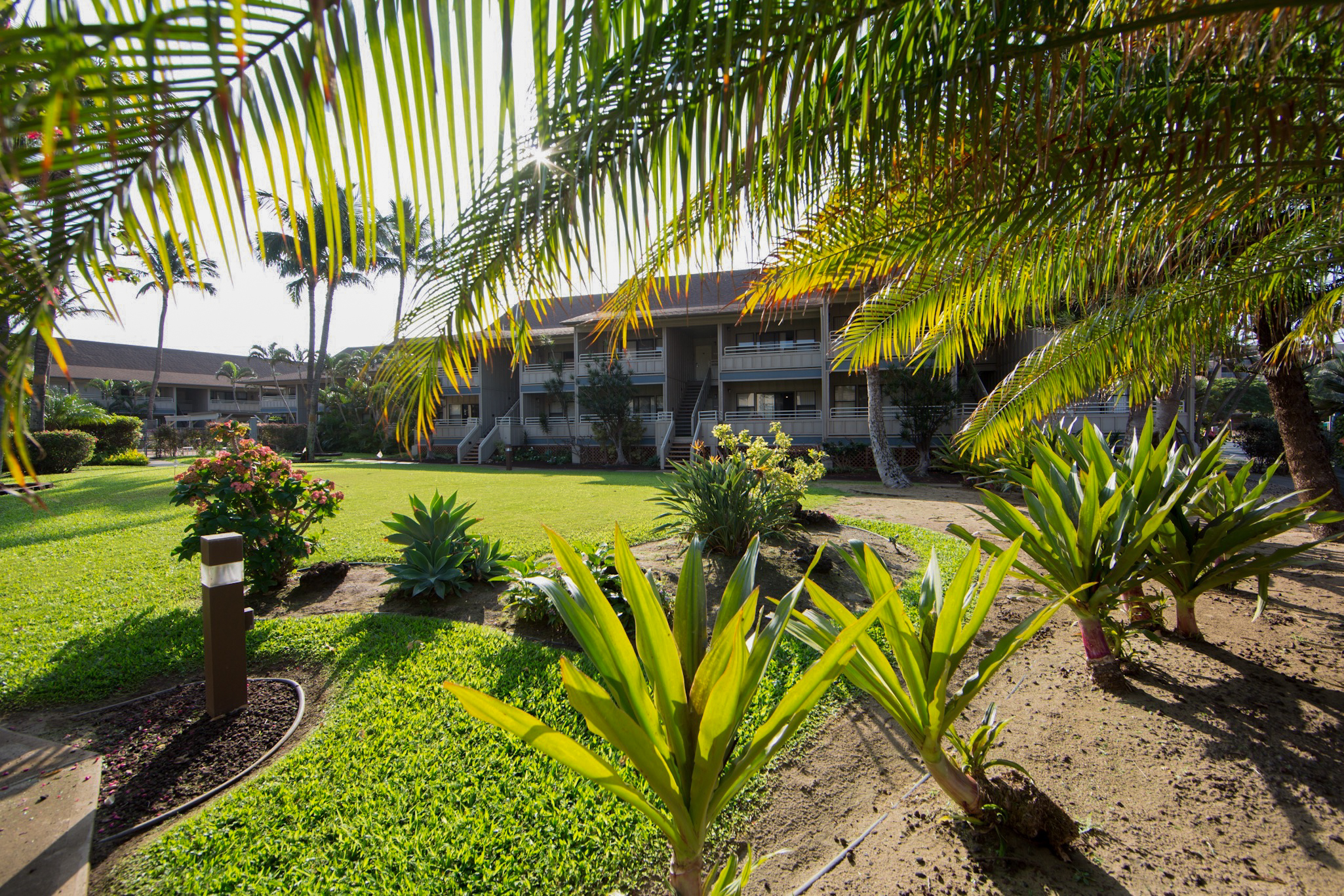 Kihei Condo 978048