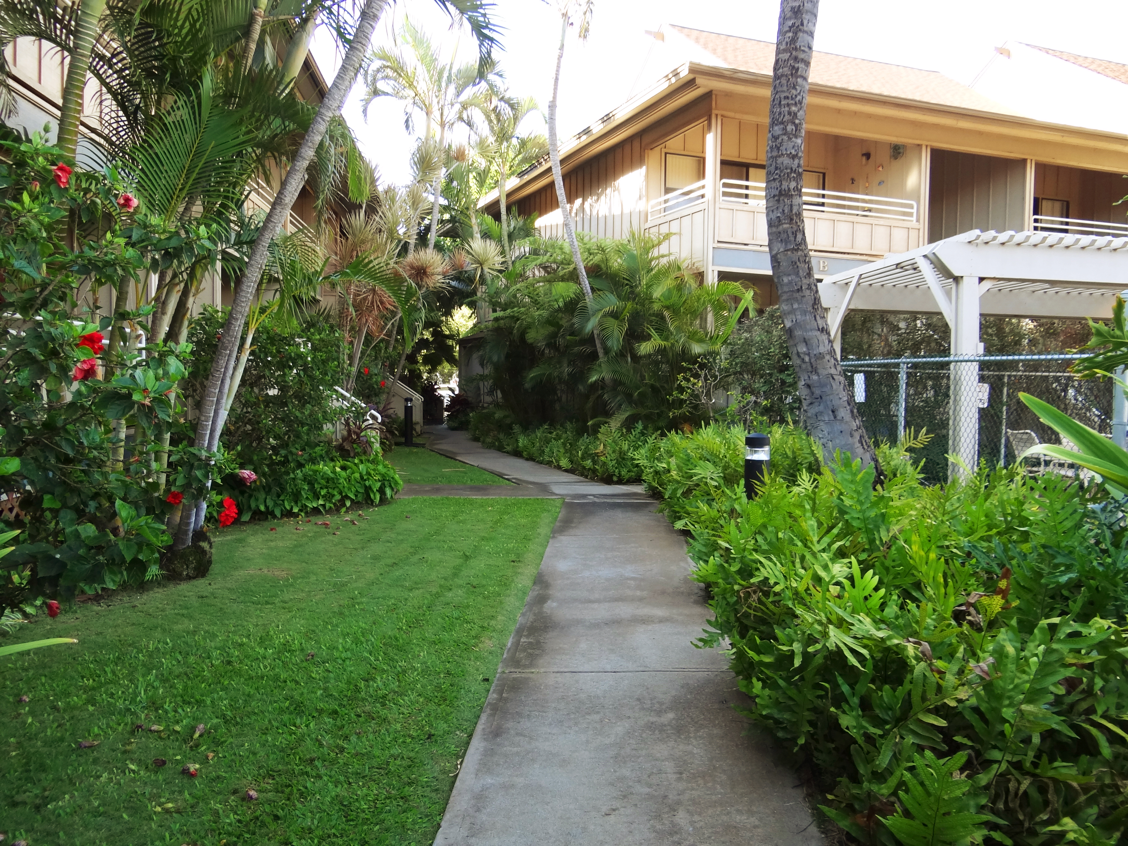 Kihei Condo 978050