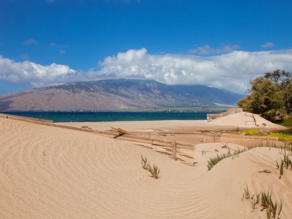 Kihei Condo 978052
