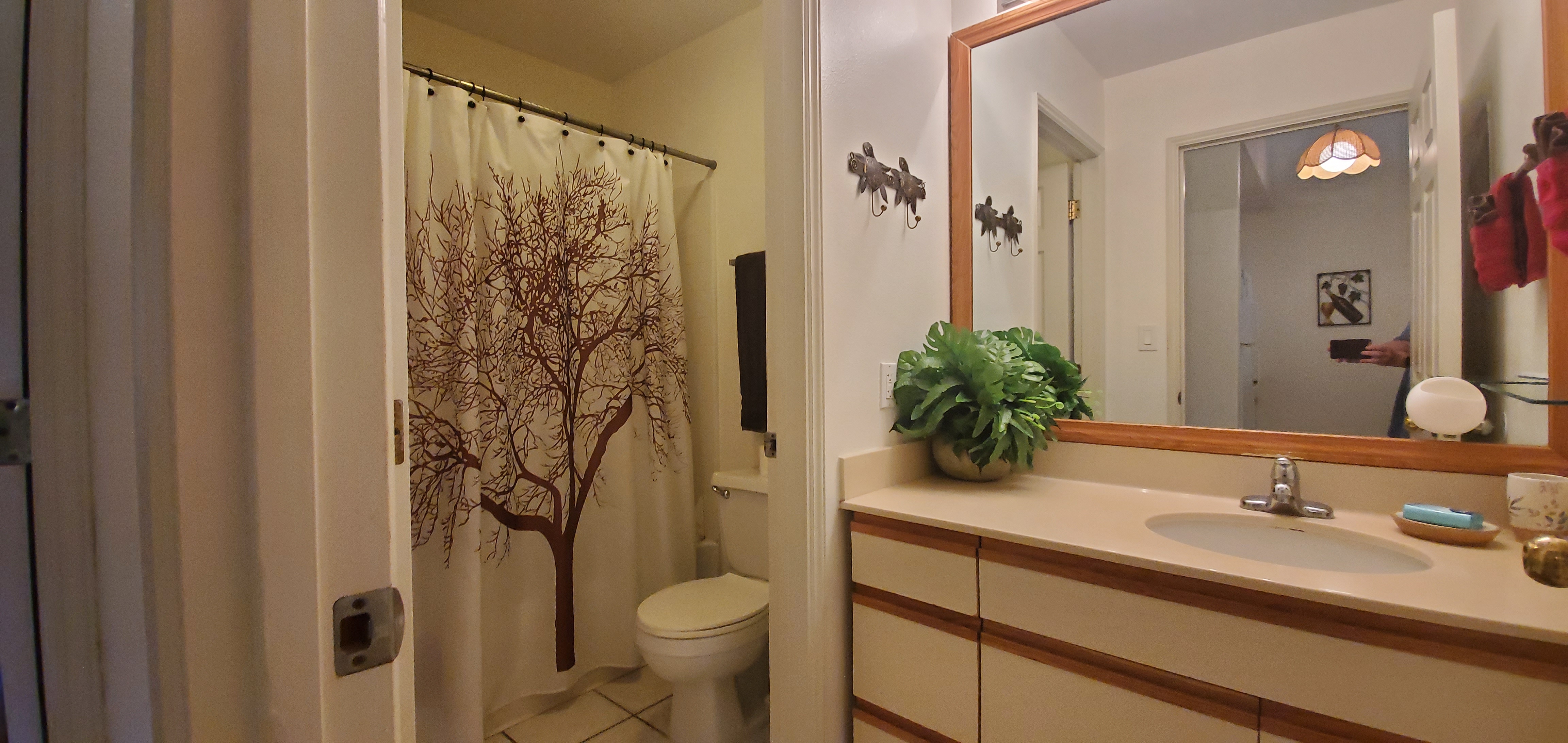 Kihei Condo 978053