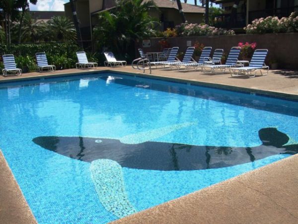 Kihei Condo 978055