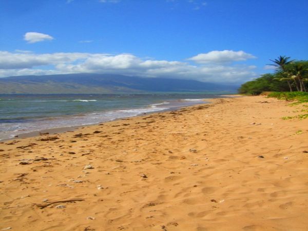 Kihei Condo 978055