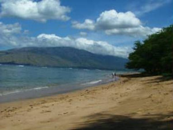 Kihei Condo 978055