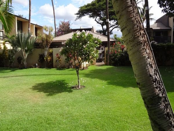 Kihei Condo 978055