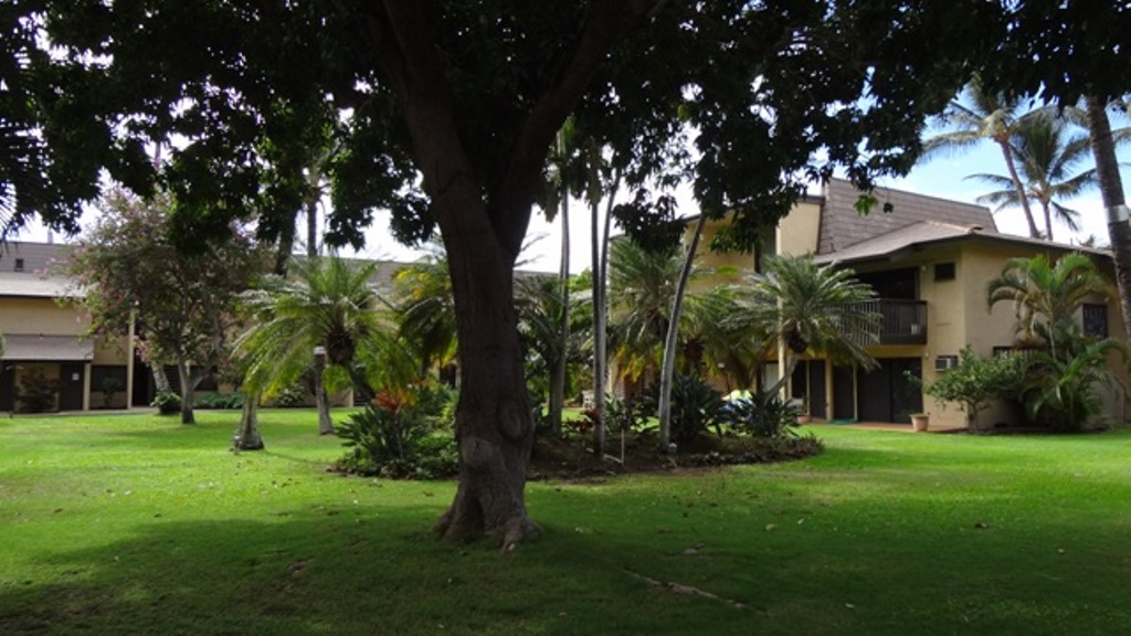 Kihei Condo 978055