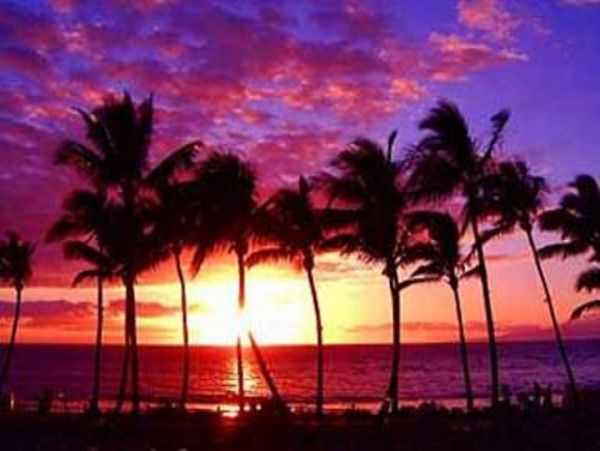 Kihei Condo 978055