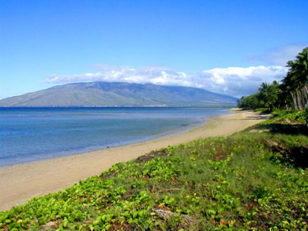 Kihei Condo 978056