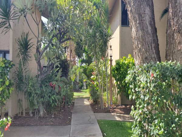 Kihei Condo 978056